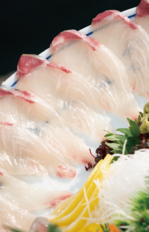 ゆうこうシマアジ 真鯛・サバ