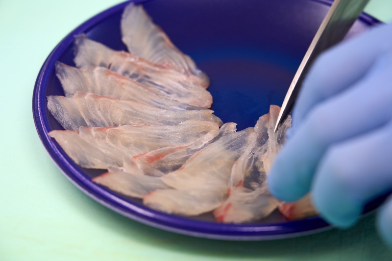 Sマート　刺身カットシーン