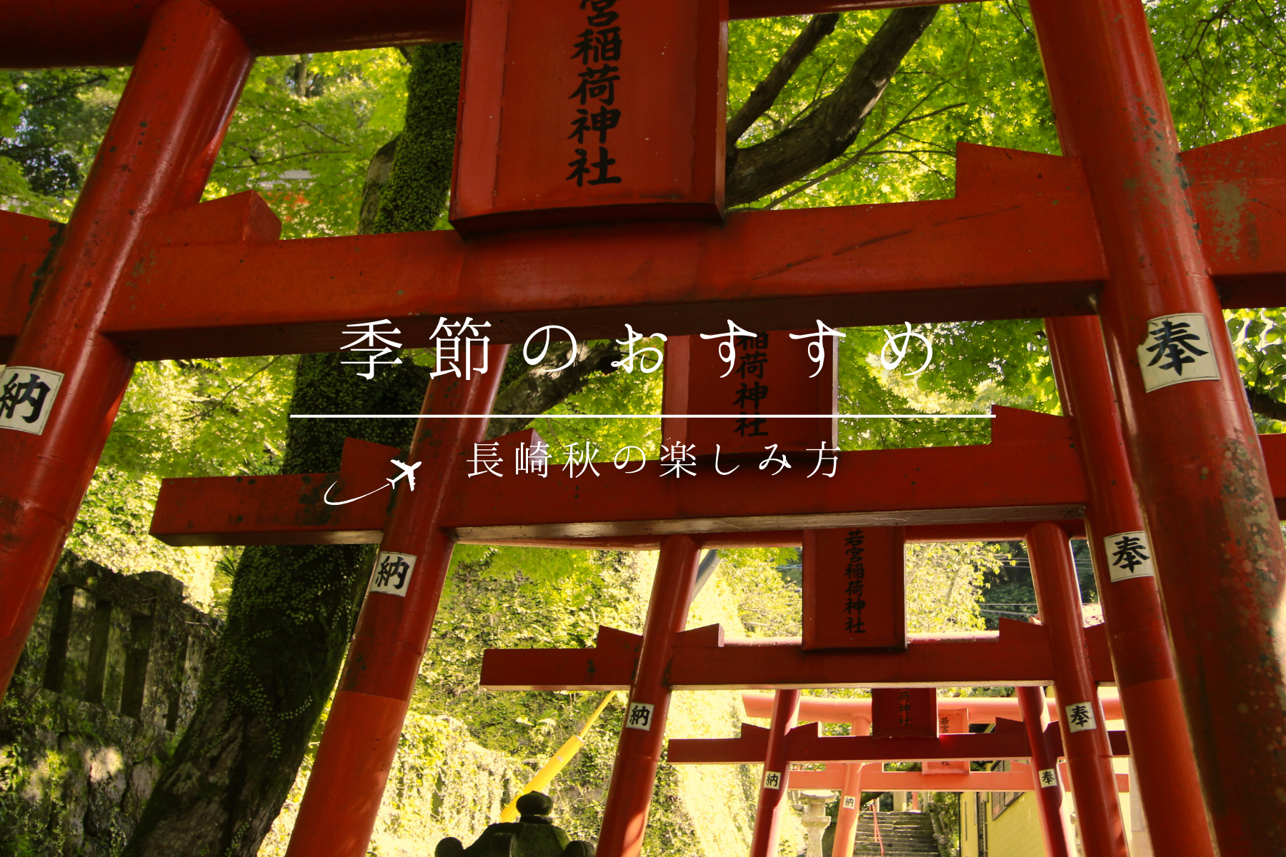 季節のおすすめ新バナー（秋）