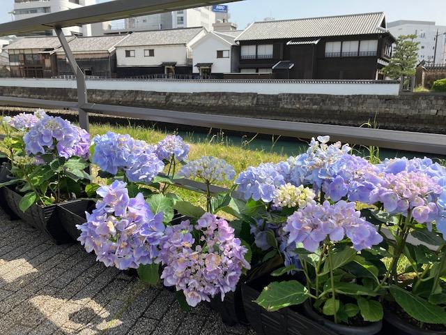 【速報】九州北部地方が梅雨入りしました（5/29午前11時　福岡管区気象台発表）-1