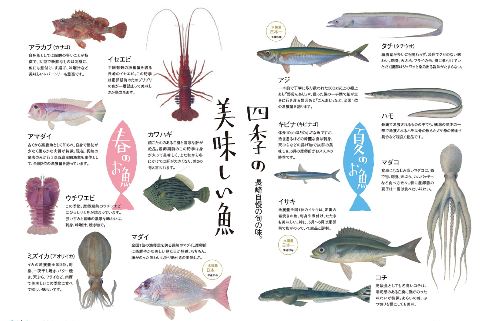 ⻑崎のもう⼀つの彩⾊⿂図｜グラバー図譜-1