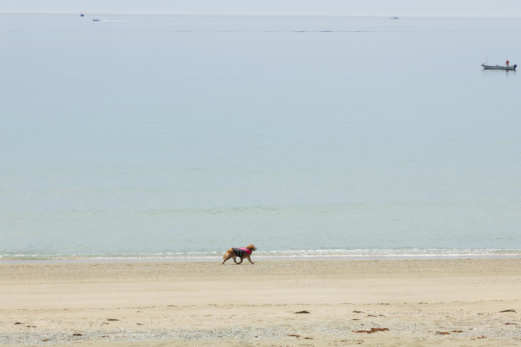 脇岬海水浴場