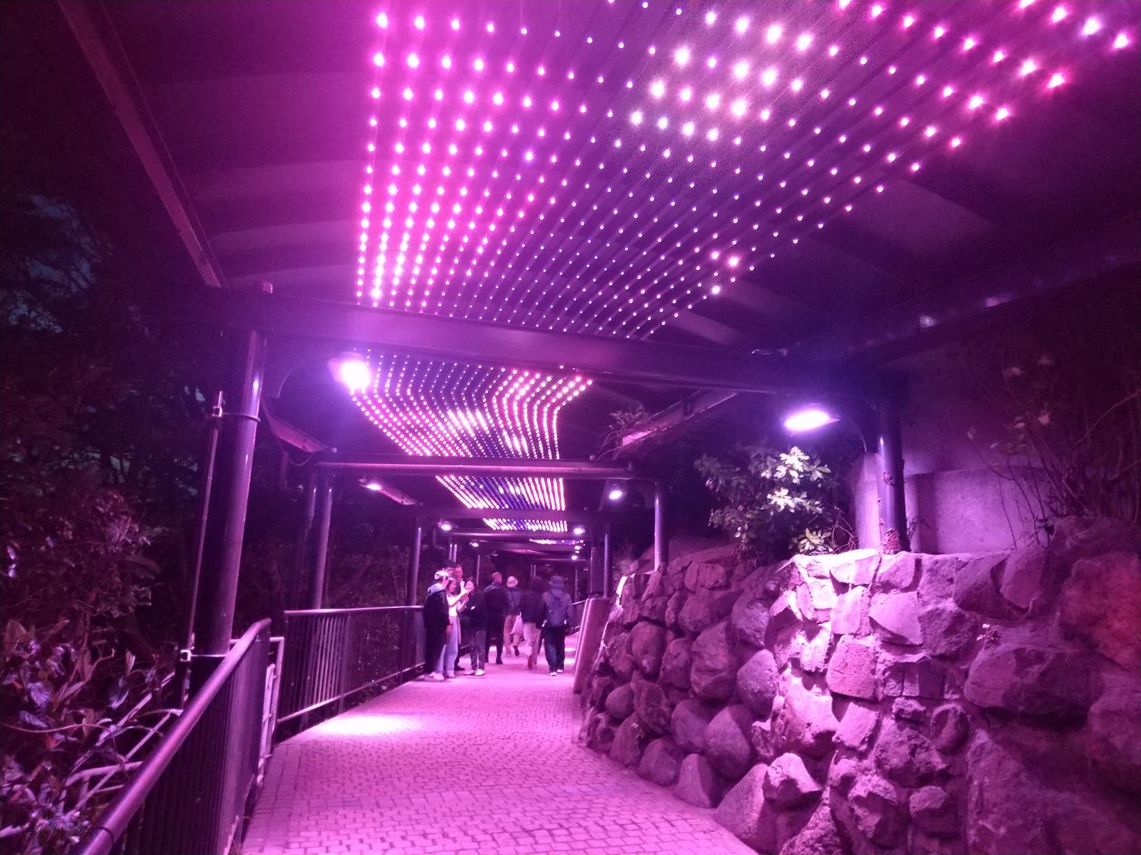 展望台までの通路