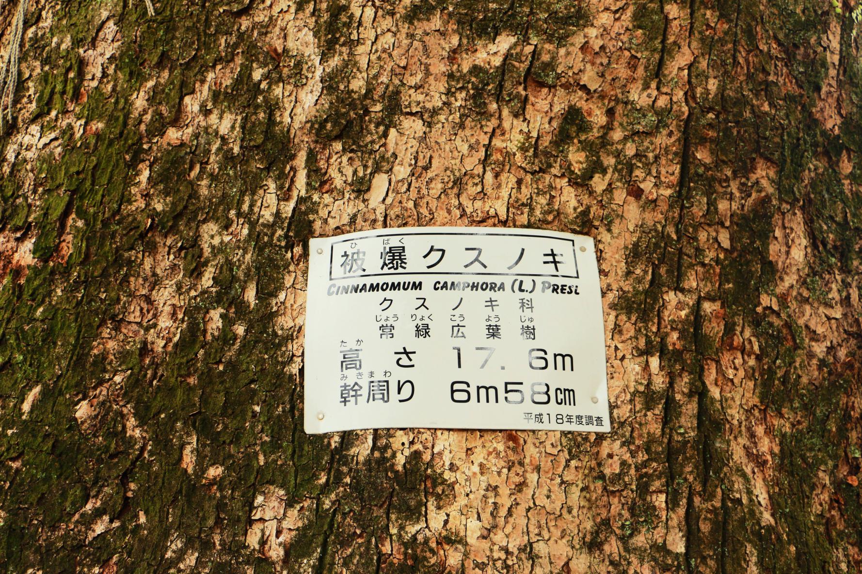 山王神社②