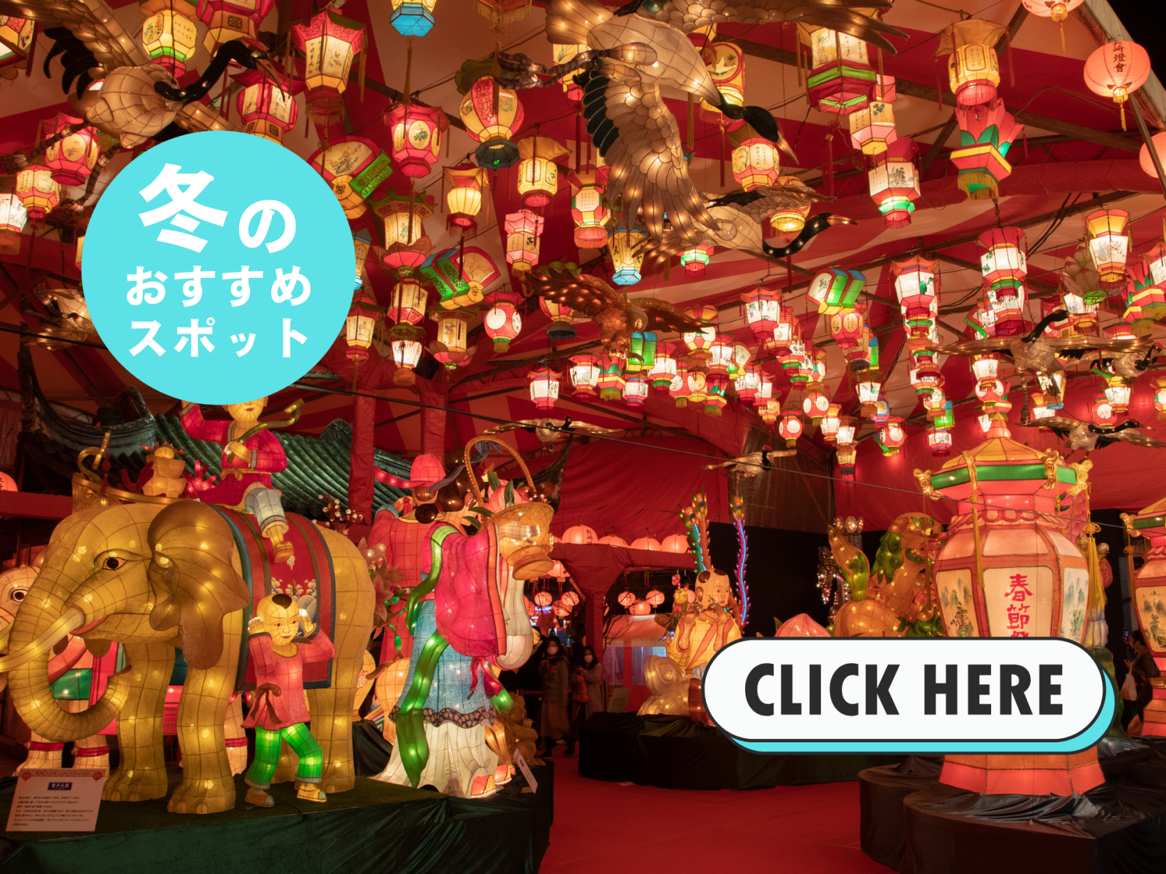 冬の時期におすすめしたいスポット情報