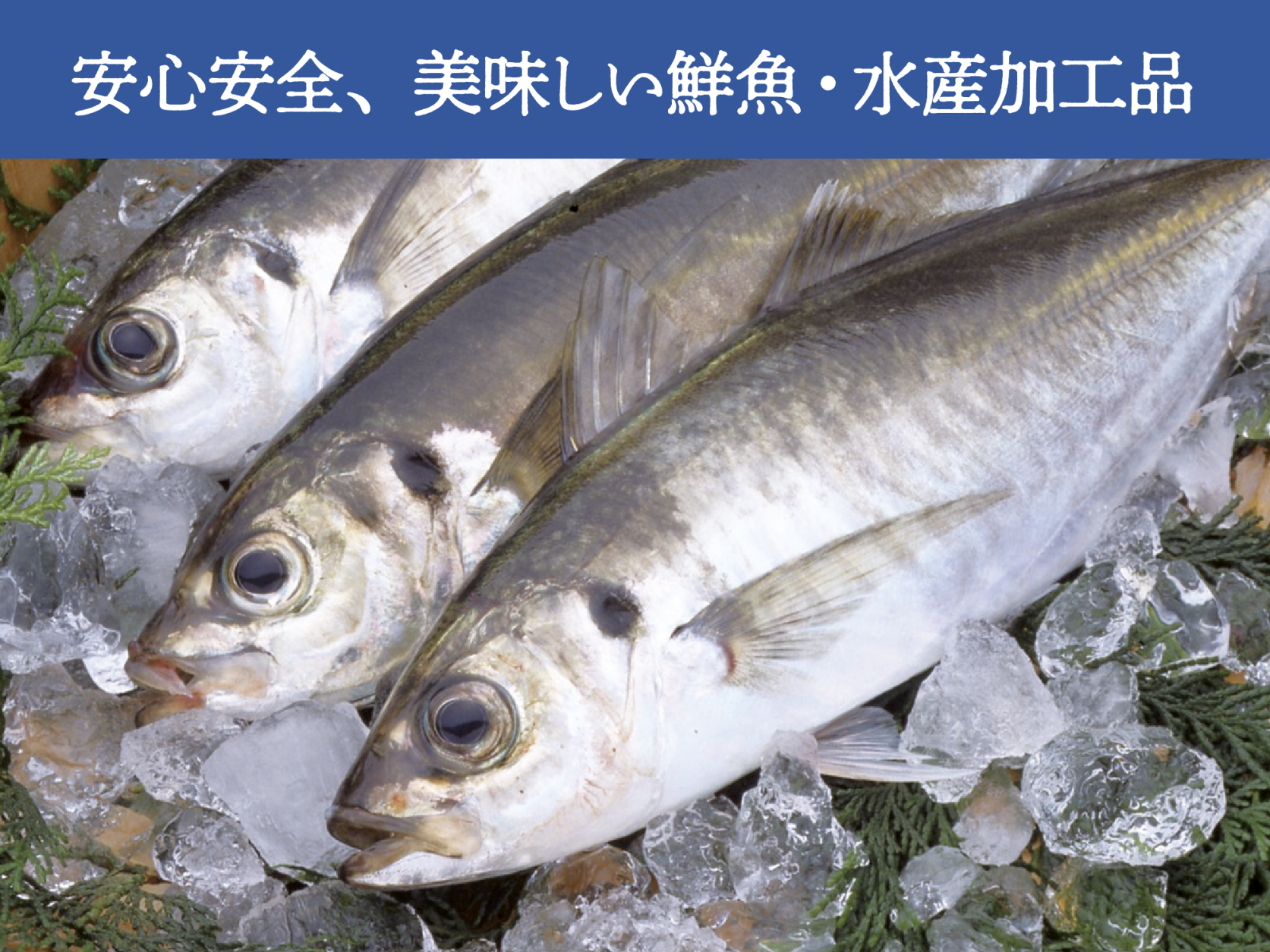 有限会社柏⽊⽔産