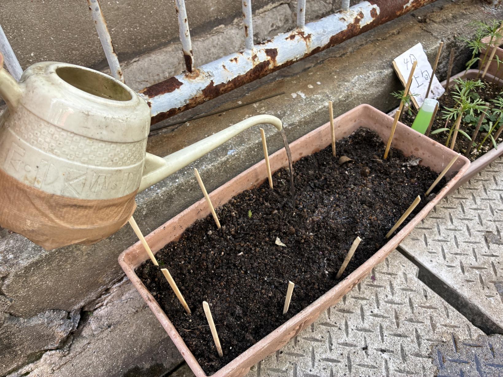 5月14日