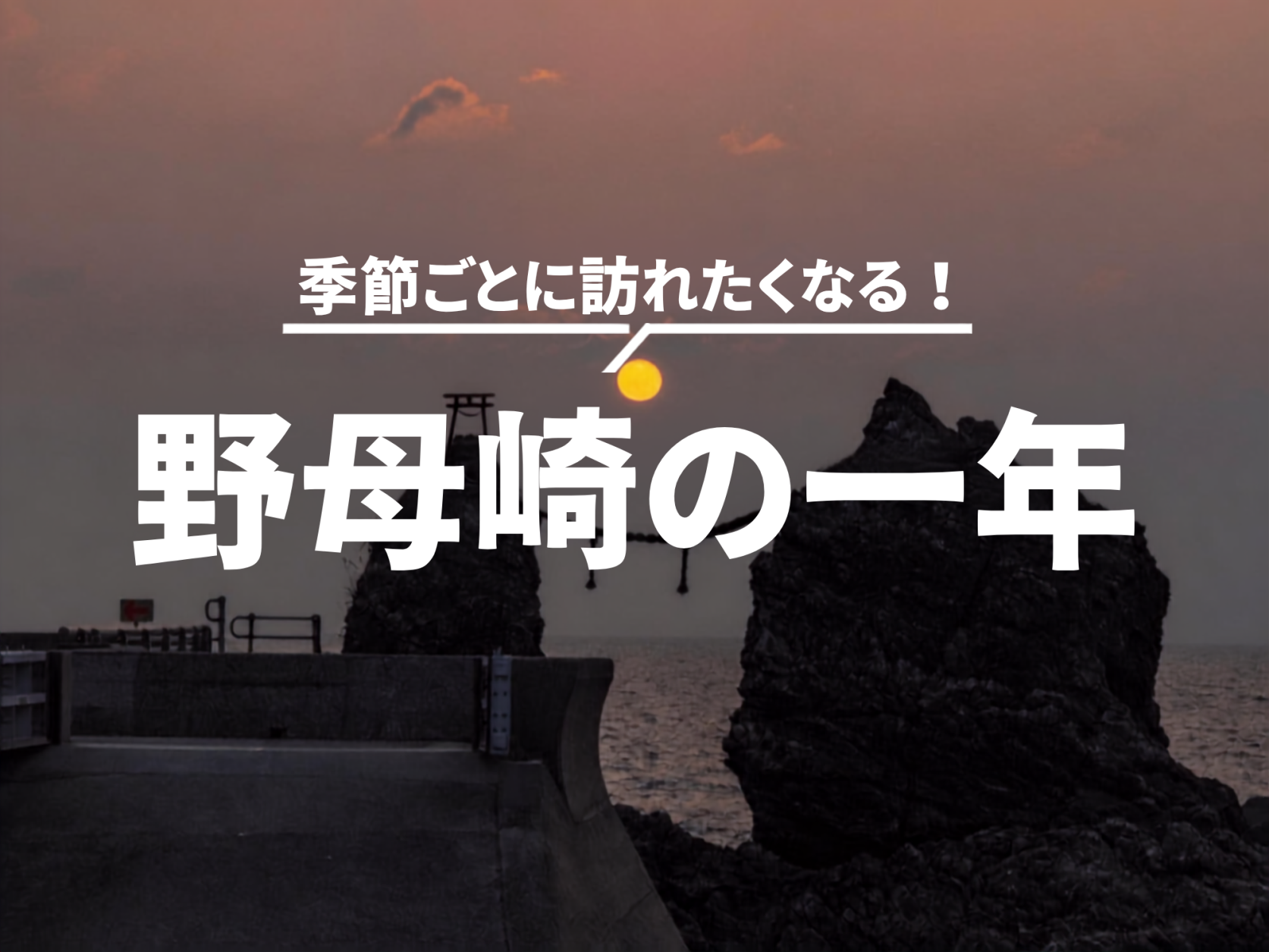 季節ごとに訪れたくなる！ 野母崎の一年