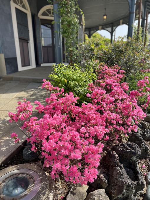 園内の至るところで、季節の花々が楽しめます。休憩スポットもありますよ！-2