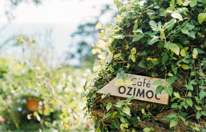 CAFE OZIMOC（カフェオジモック）-3