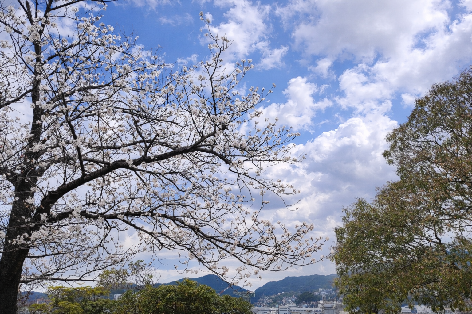 水辺の森公園-0