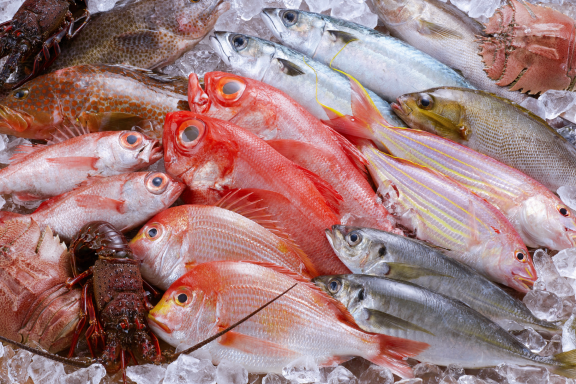 歴史と文化のストーリー｜今も昔も≪最鮮端≫さしみシティ長崎-0