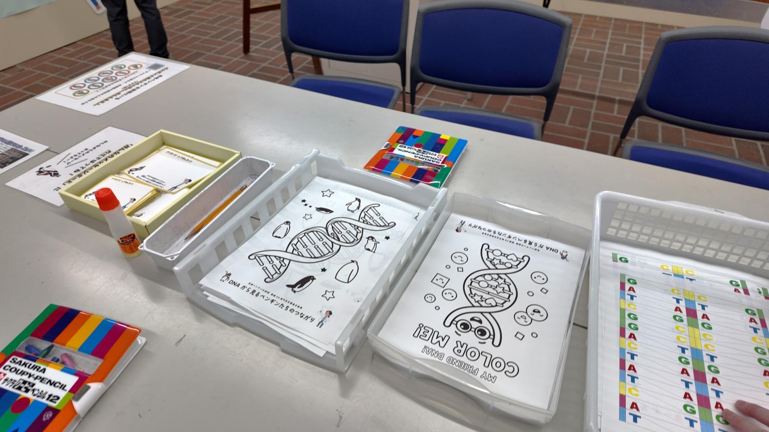 開館25周年記念関連企画展「DNAから見るペンギンたちのつながり」-3