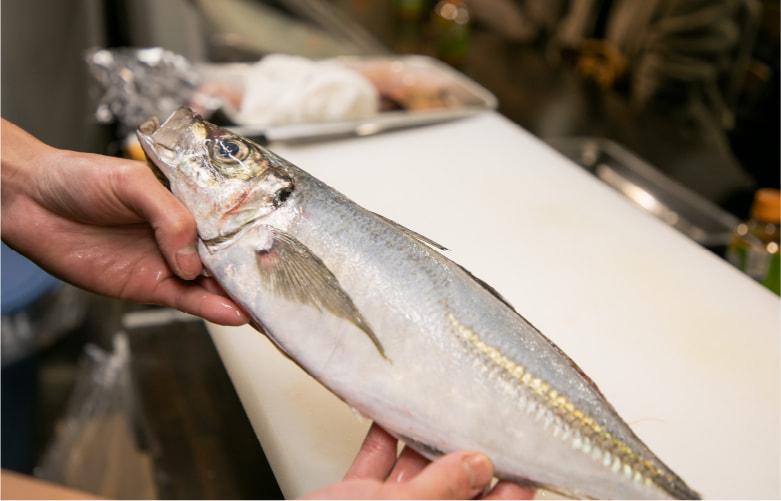 海の幸なら、上手に賢く、まちの鮮魚店にお任せ-2