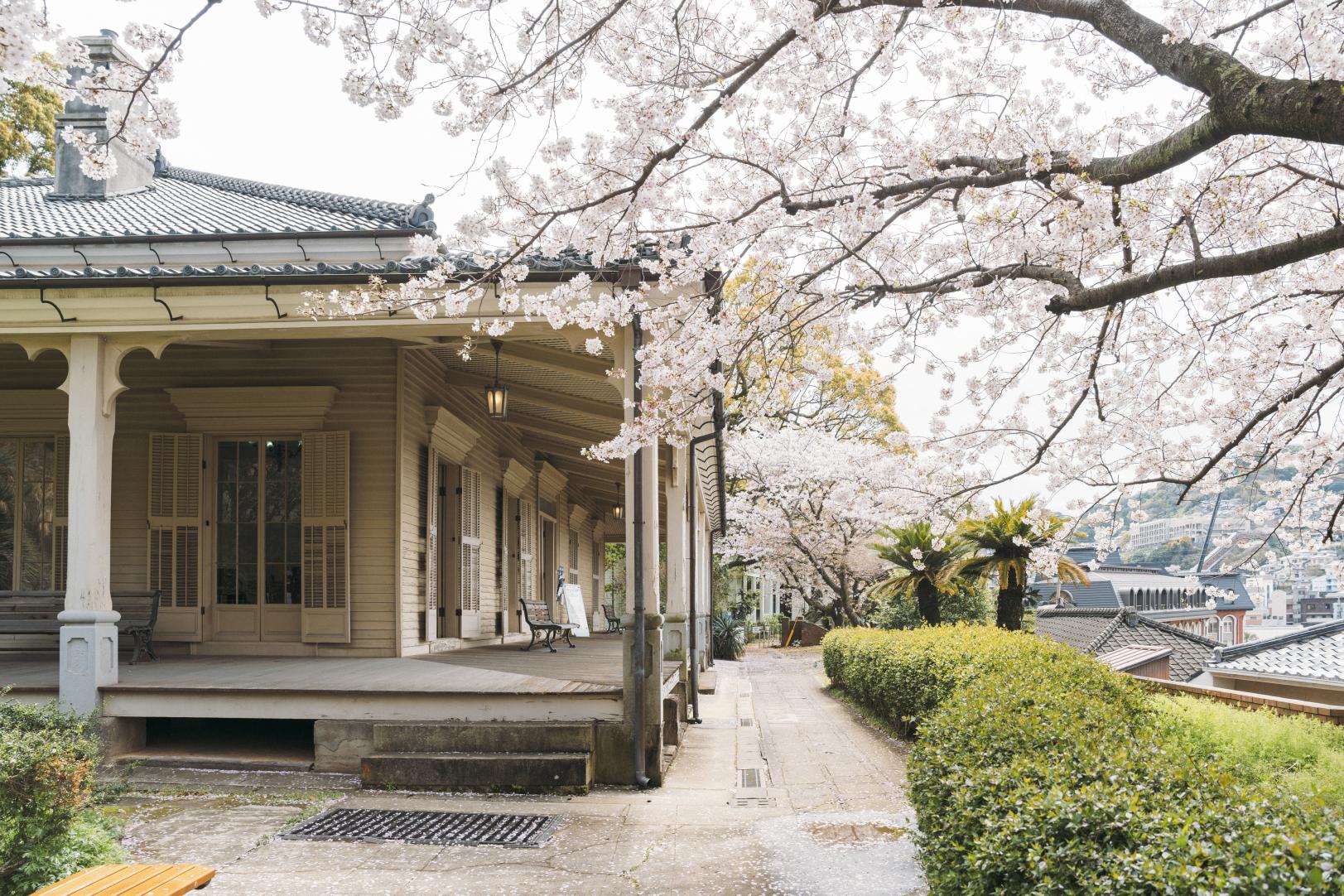 長崎「春」特集🌸-1