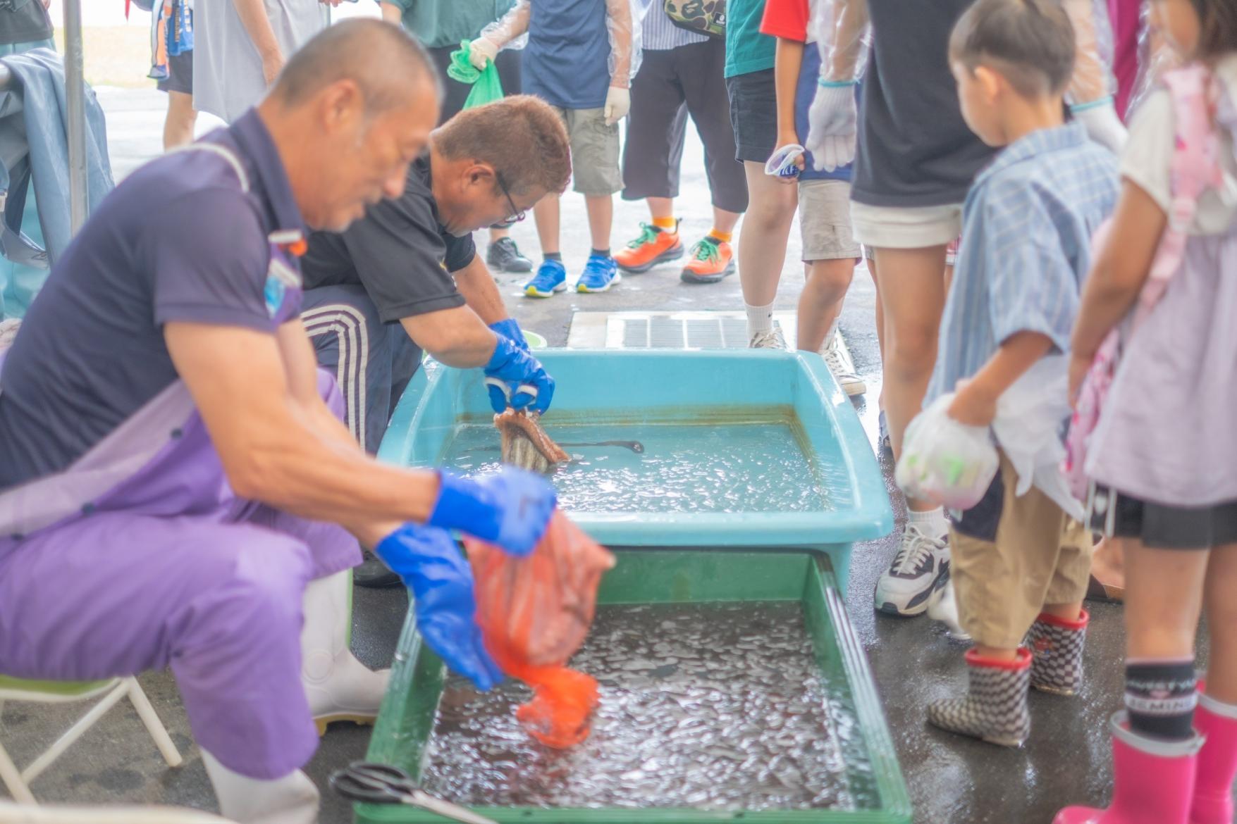 夏もおいしい、長崎の夏季魚介系祭り-1
