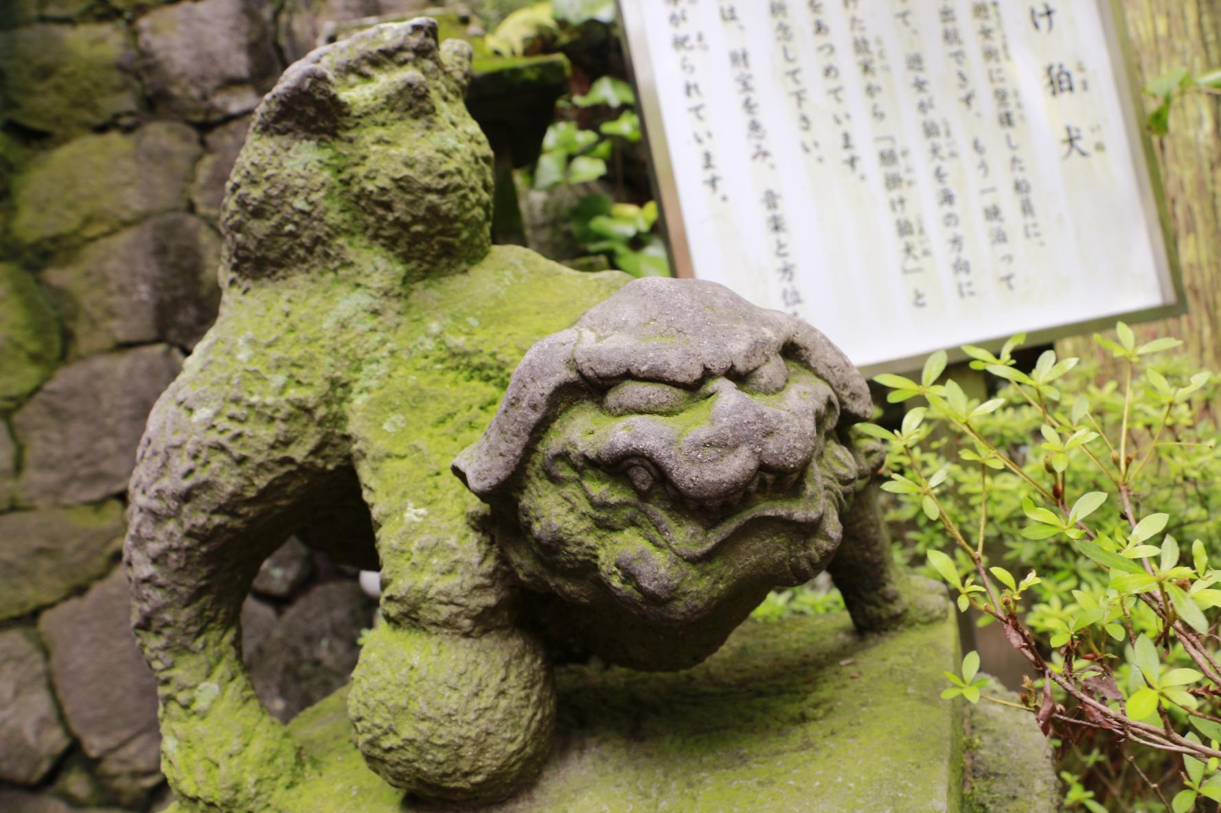 諏訪神社はテーマパーク⁉ 狛犬が多いと御利益も多い！？-1