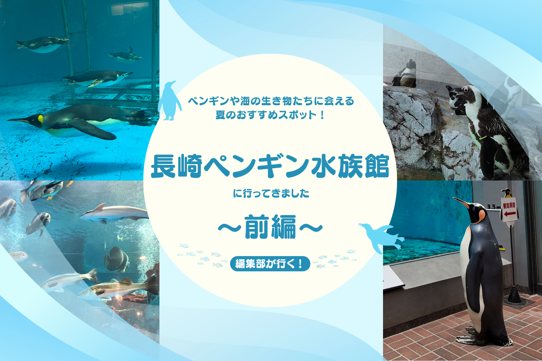 【編集部が行く！】～前編～ペンギンや海の生き物たちの魅力にふれられる“夏のおすすめスポット！”「長崎ペンギン水族館」に行ってきました。-1