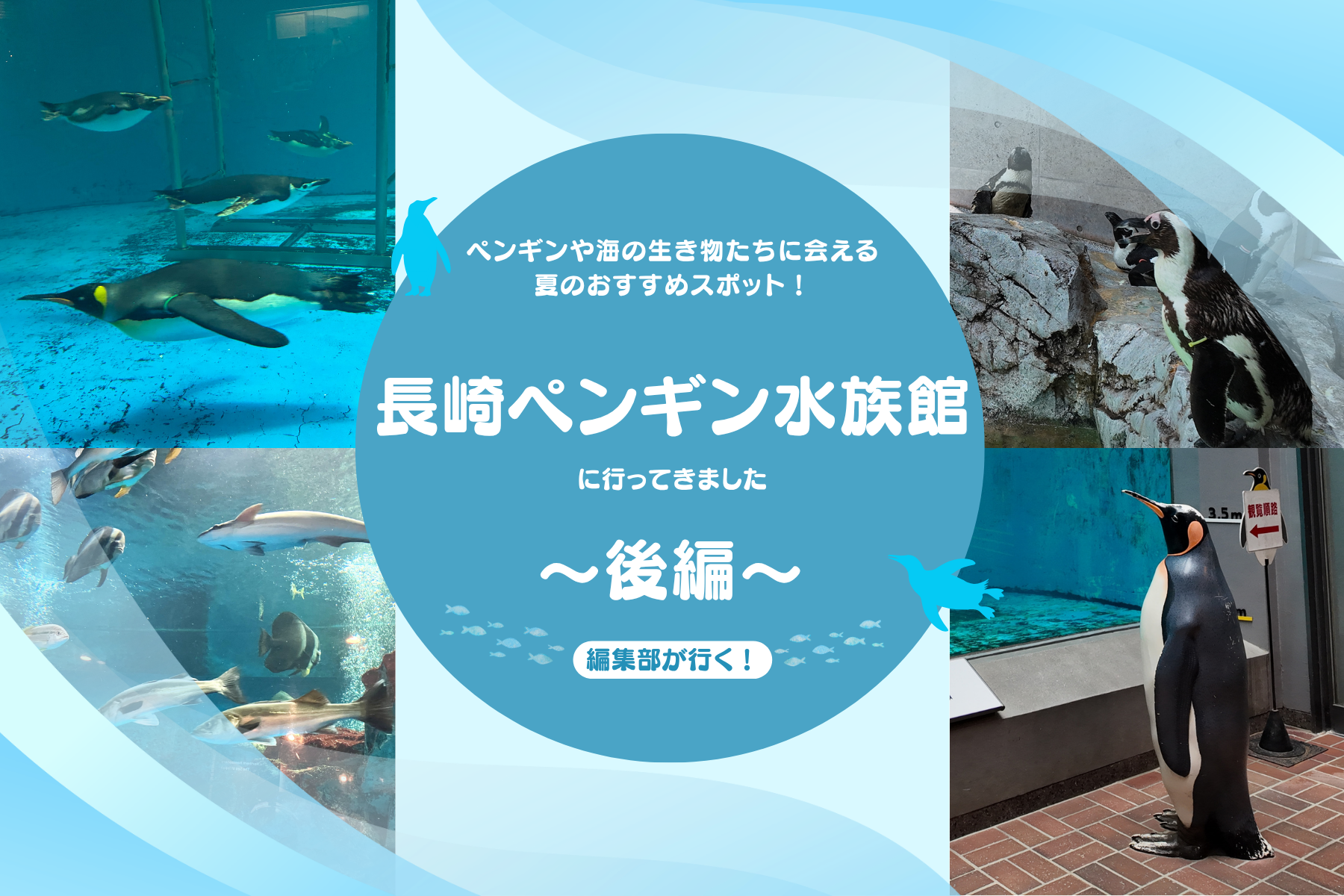【編集部が行く！】～後編～ペンギンや海の生き物たちの魅力にふれられる“夏のおすすめスポット！”「長崎ペンギン水族館」に行ってきました。-1
