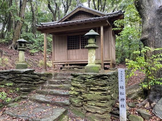 枯松神社-0