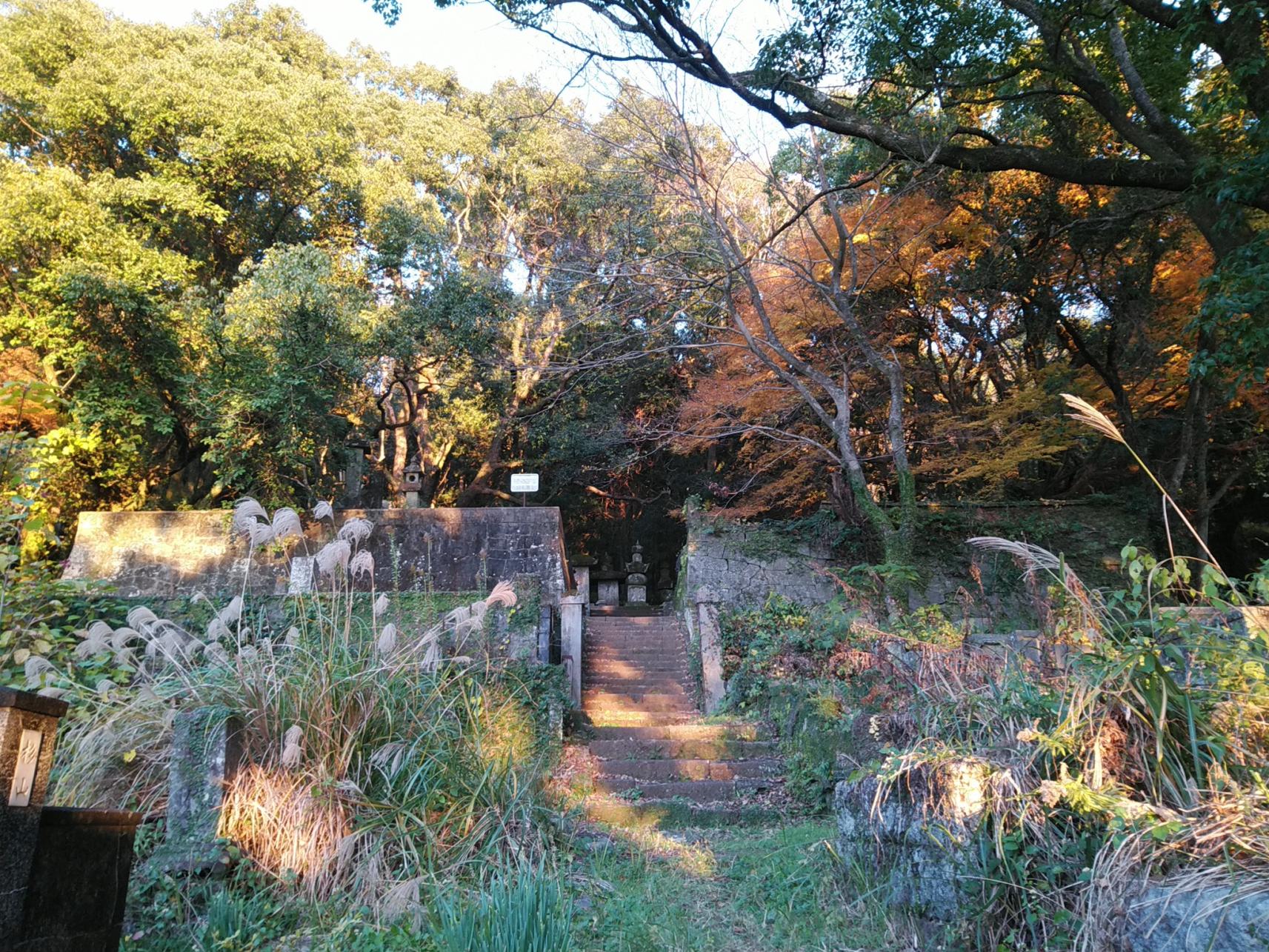 高島家墓地-4