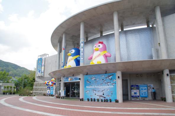 長崎ペンギン水族館-9