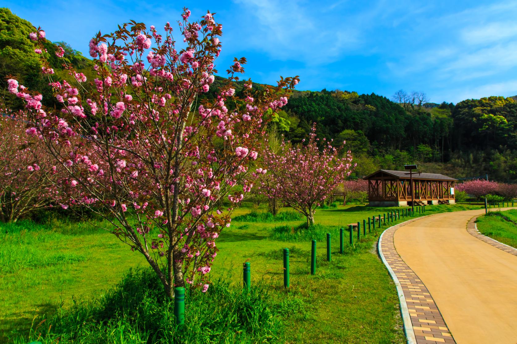 そとめ神浦川河川公園-2