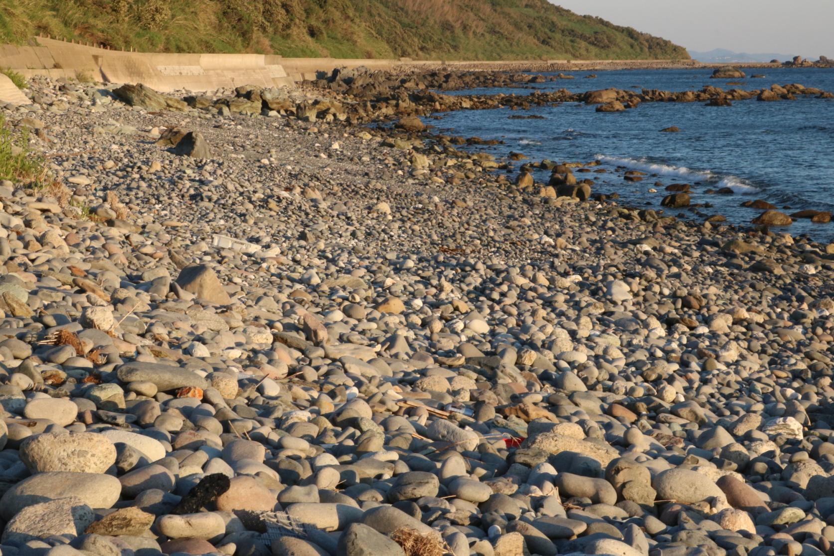 大野浜海浜公園-2