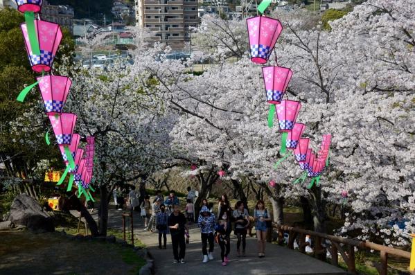 立山公園さくらまつり-1