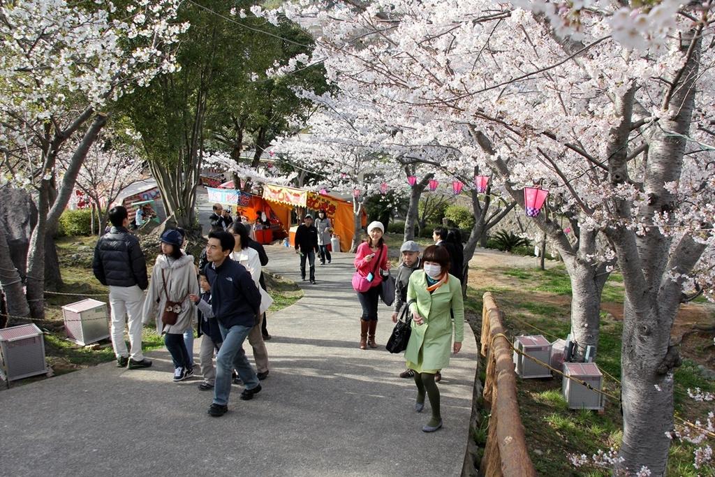 立山公園さくらまつり-2