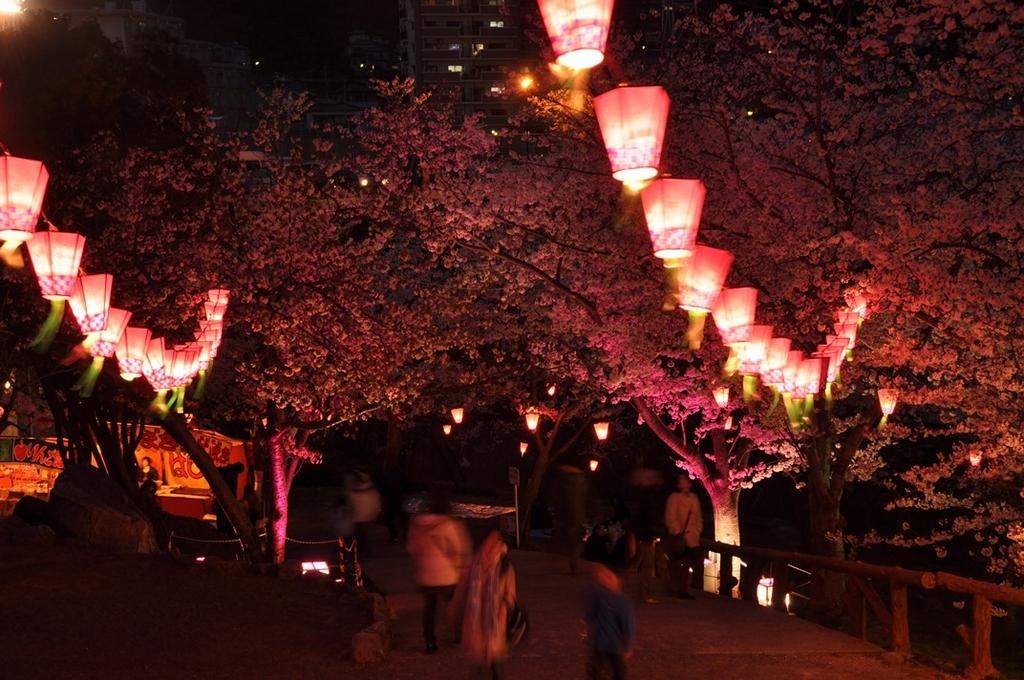 立山公園さくらまつり-7