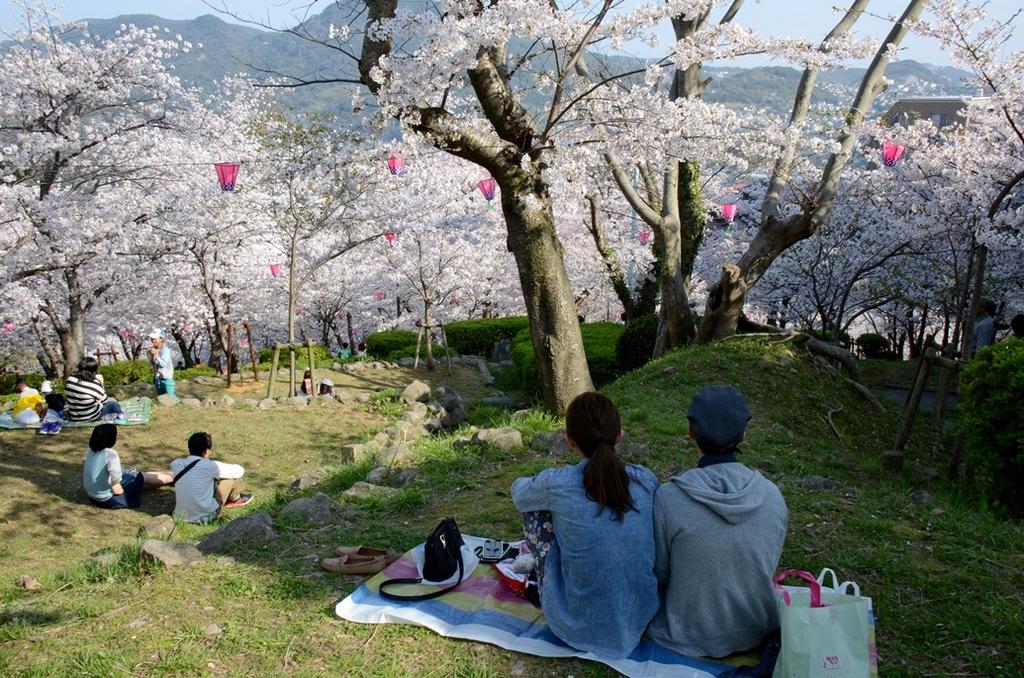 立山公園さくらまつり-4