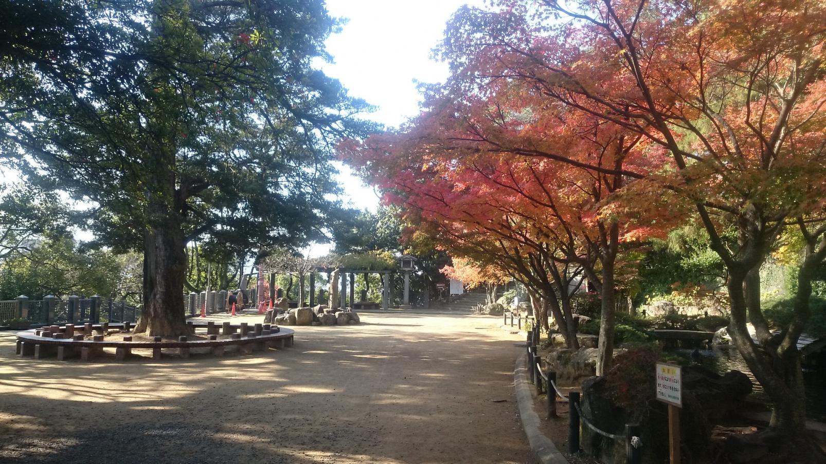 長崎公園-3
