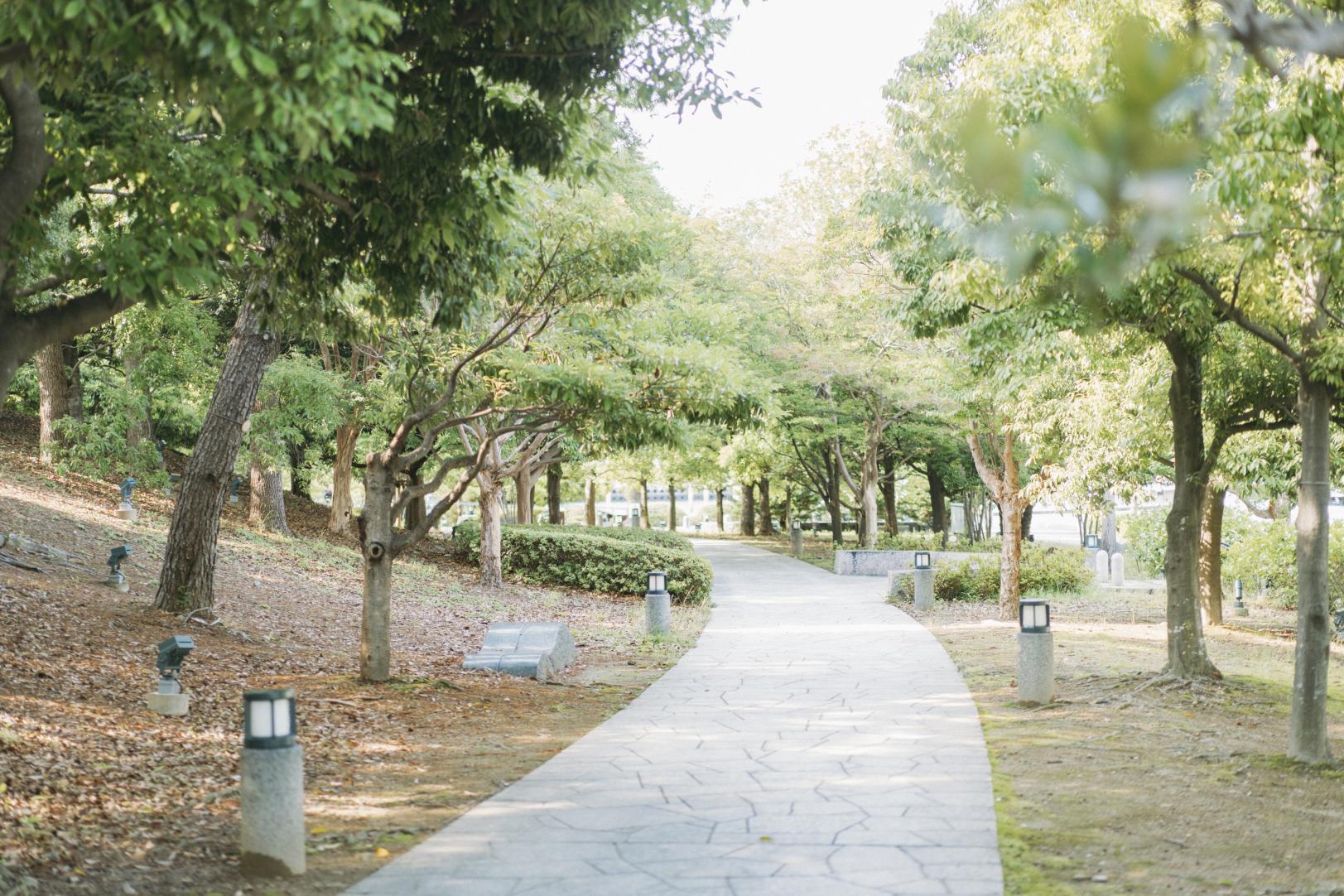 長崎水辺の森公園-5