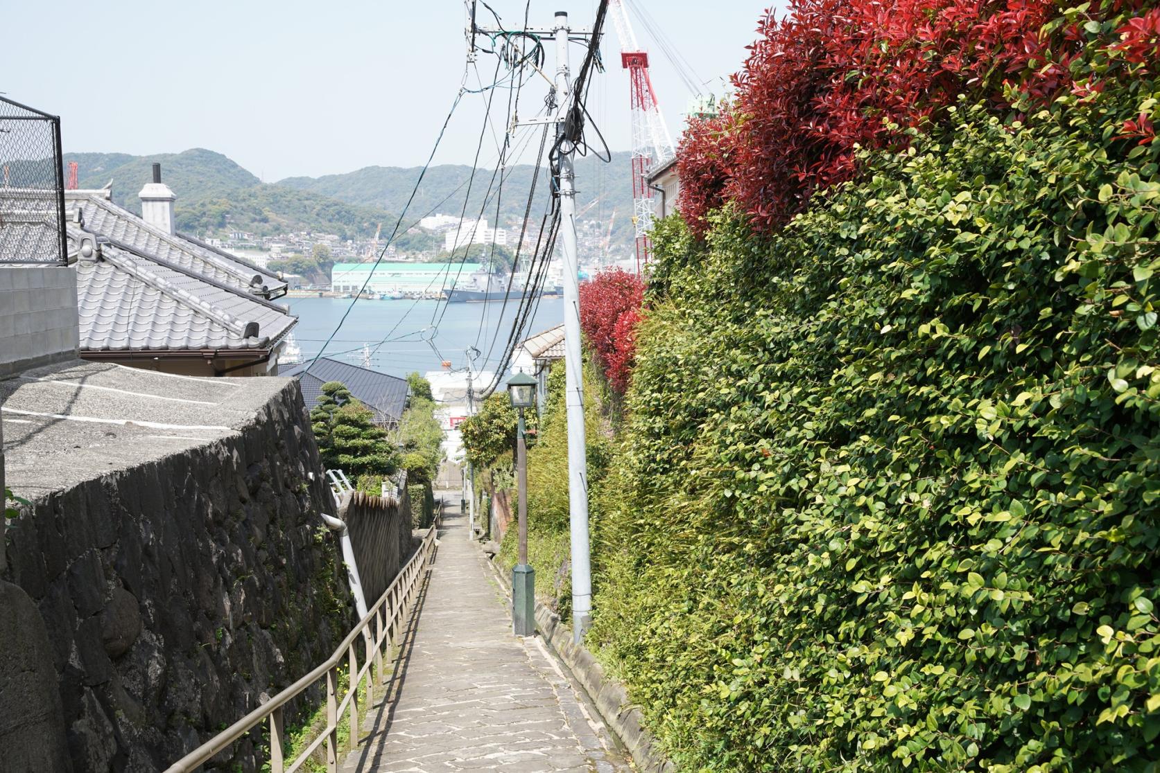 Dondon Saka-4