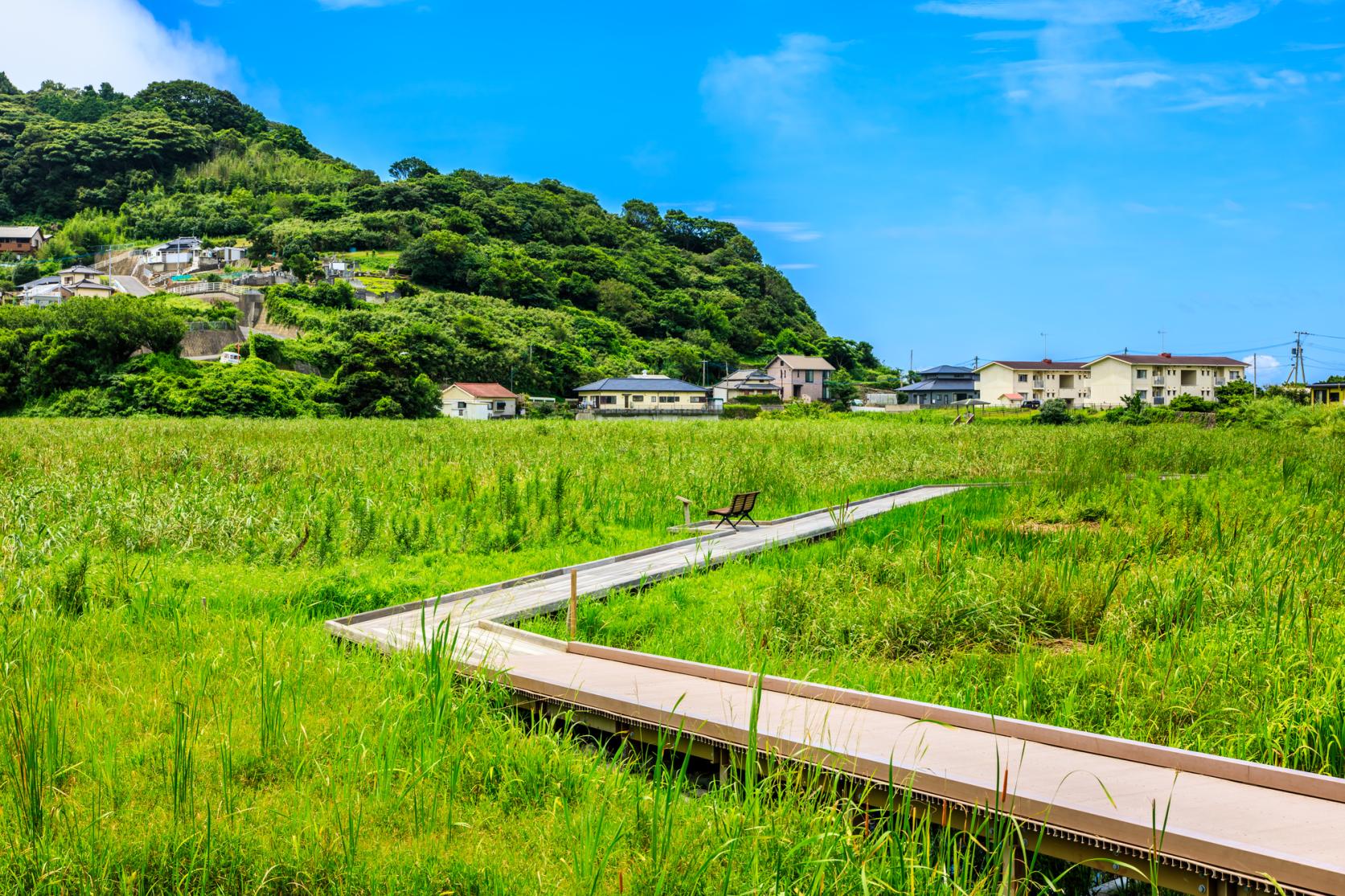 黒崎永田湿地自然公園-1