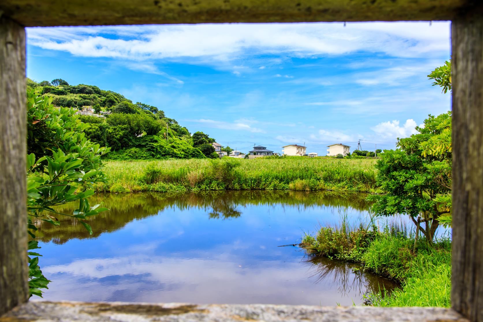 黒崎永田湿地自然公園-3