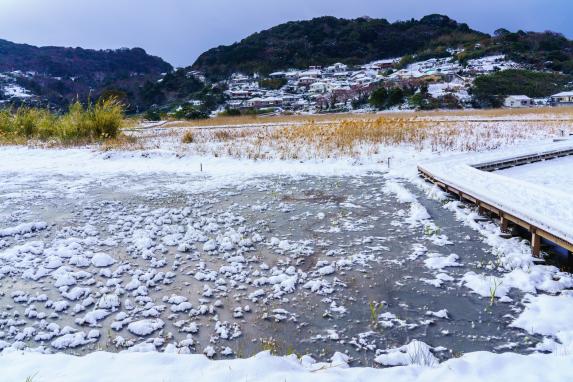 黒崎永田湿地自然公園-7