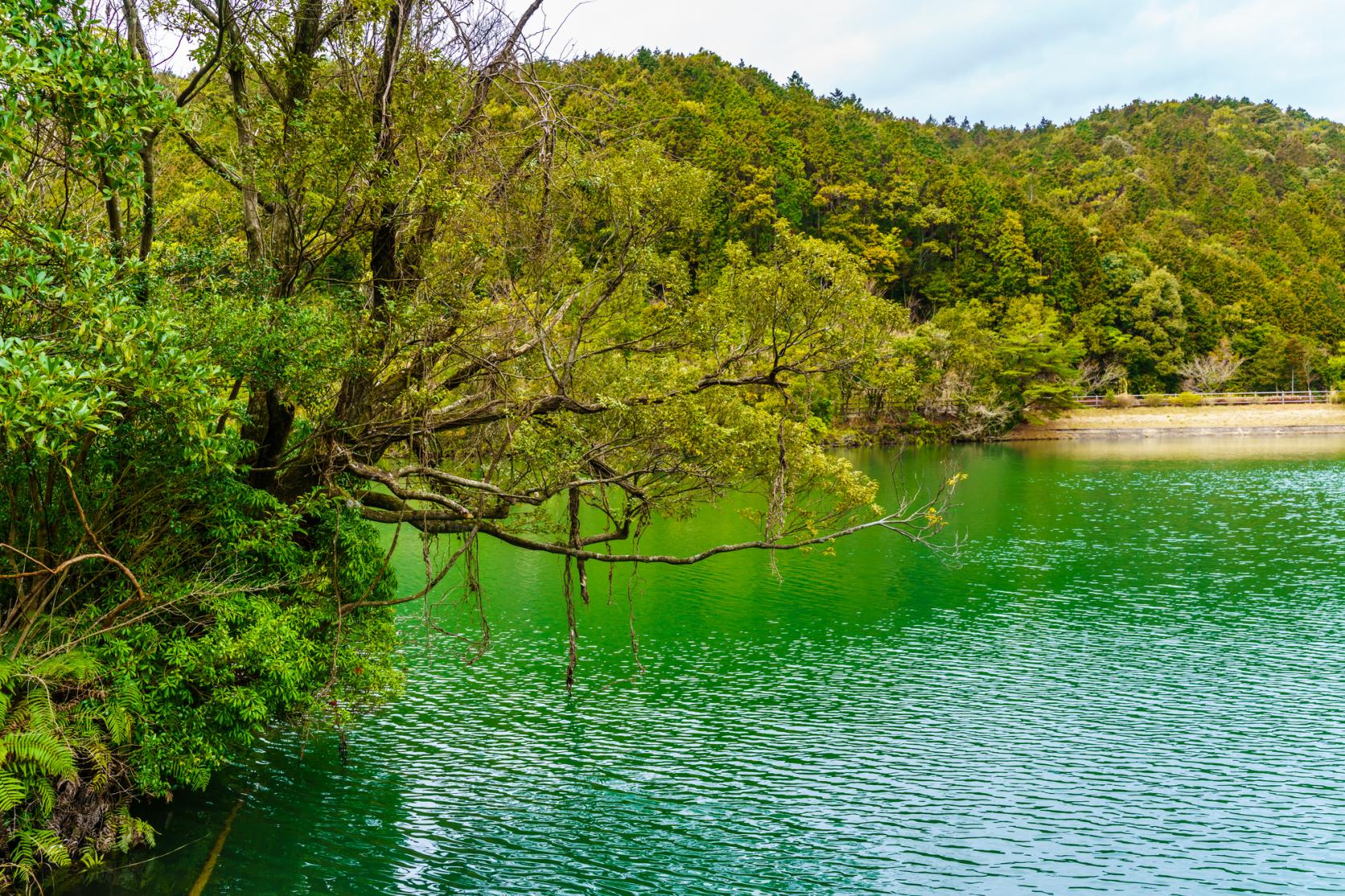 琴海赤水公園-4