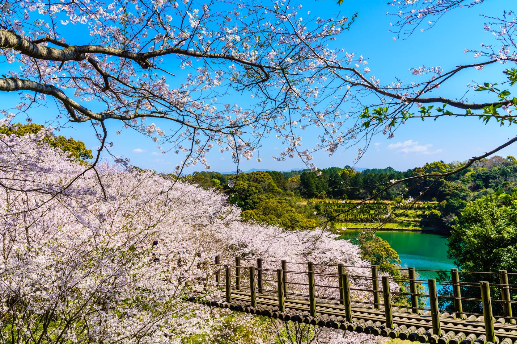 琴海中央公園