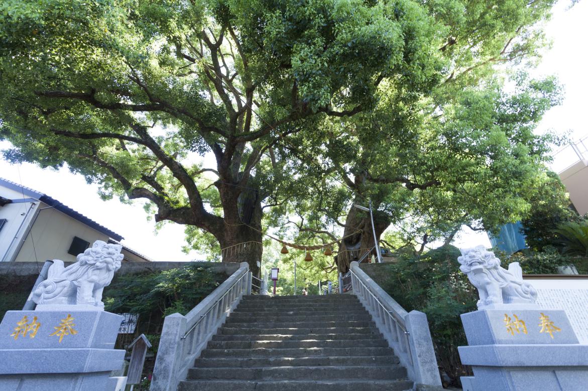 ~祈りの長崎~ 平和公園と原爆資料館 半日コース | モデルコース | 長崎市公式観光サイト「travel nagasaki」