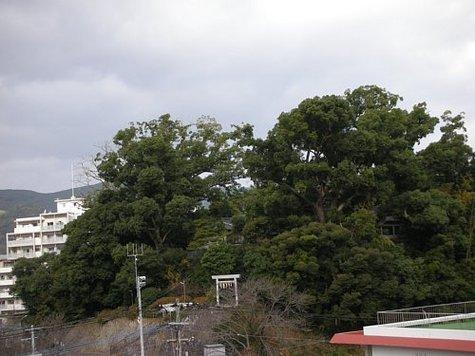 滑石大神宮社叢