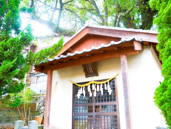 大徳寺の大クス-3