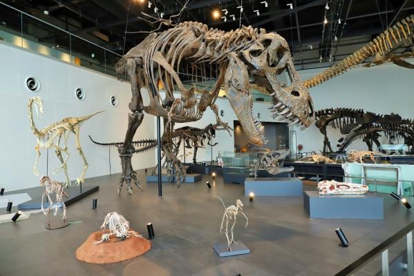 [Sans obstacle] Musée des dinosaures de Benex-1