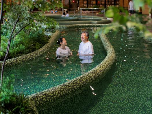 Ark Land Spa-1