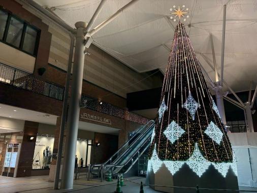 AMU WINTER ILLUMINATION 2025-1