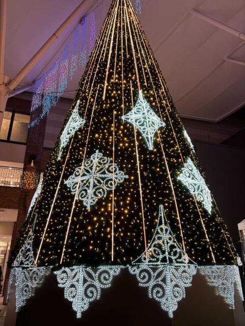 AMU WINTER ILLUMINATION 2025-0