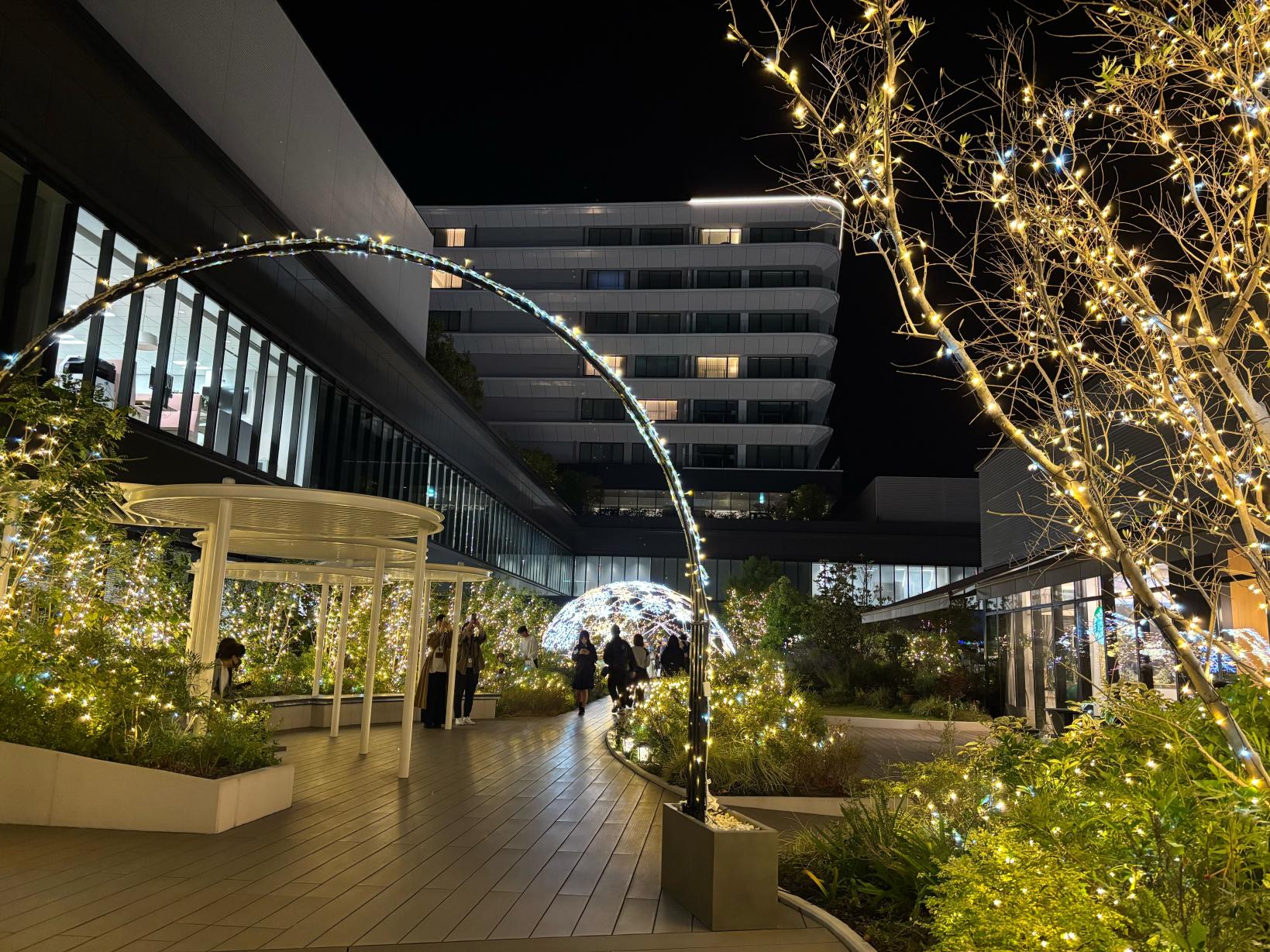 AMU WINTER ILLUMINATION 2025-3