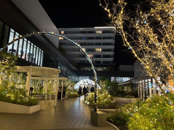 AMU WINTER ILLUMINATION 2025-3