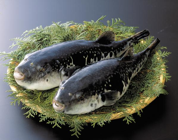 戸石 とらふぐ料理フェア-3